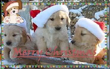 Christmas Dogs 
