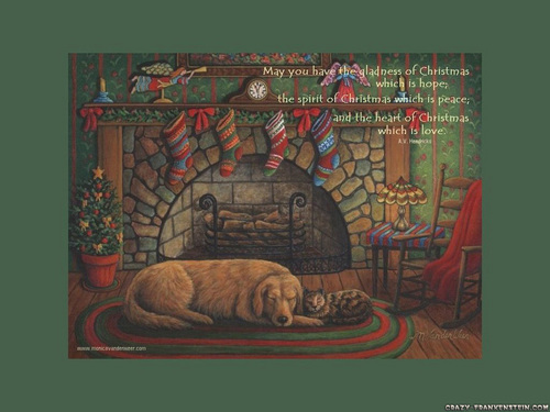 Рождество Собаки