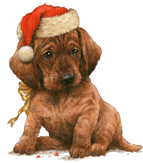  क्रिस्मस dog