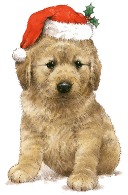 Christmas dog 