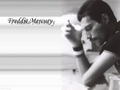 freddie-mercury - Freddie Mercury wallpaper