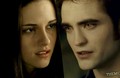 I promise to love you every moment of 4ever - twilight-series photo