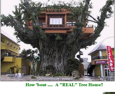 Kids next doors tree house in real life?!