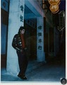 Michael Jackson  - michael-jackson photo