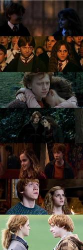  Ron and Hermione Years 1 to 7