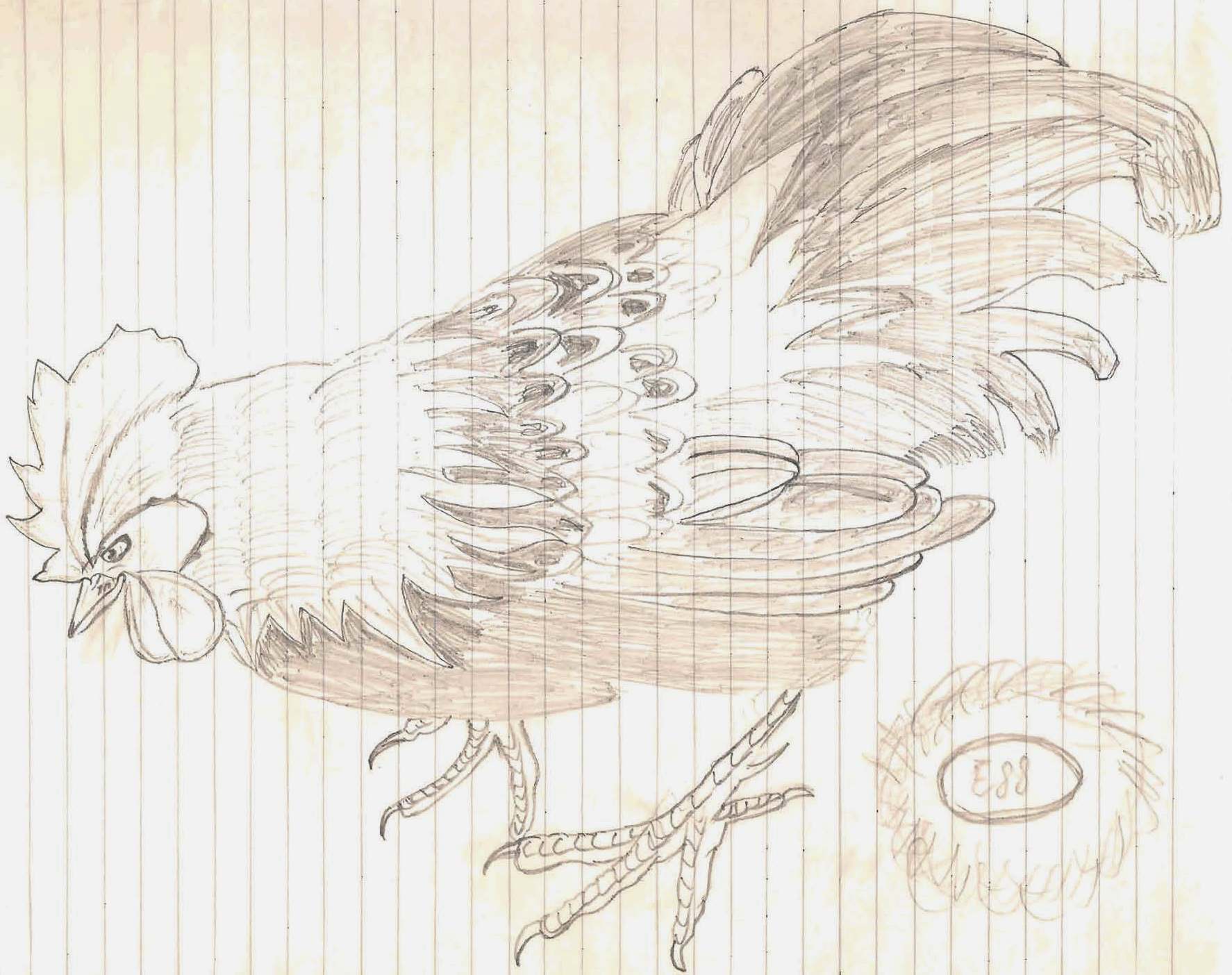 Sketch - Sketch Drawings Fan Art (13803032) - Fanpop