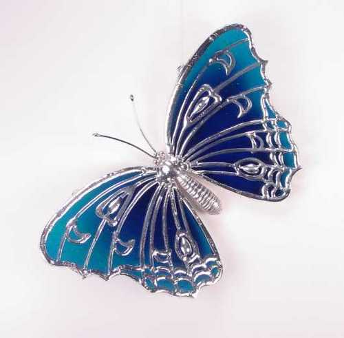  Something Blue,Beautiful Blue papillon <3