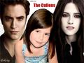 The Cullens - edward-cullen photo