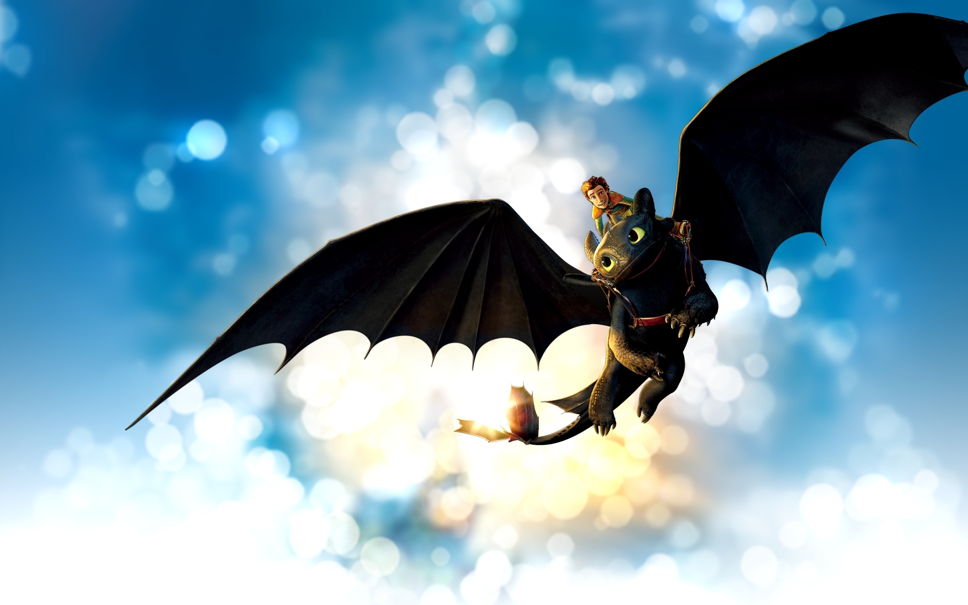 Toothless - How to Train Your Dragon Fan Art (13804265 ...