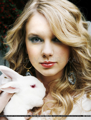  (In my opinion) best tay photoshoot ever <3