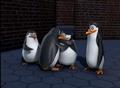 penguins-of-madagascar - Awwwwwww!:) screencap