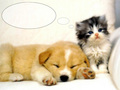 cute-puppies - Cute Puppy wallpaper