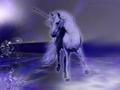 Fantasy unicorn - unicorns photo