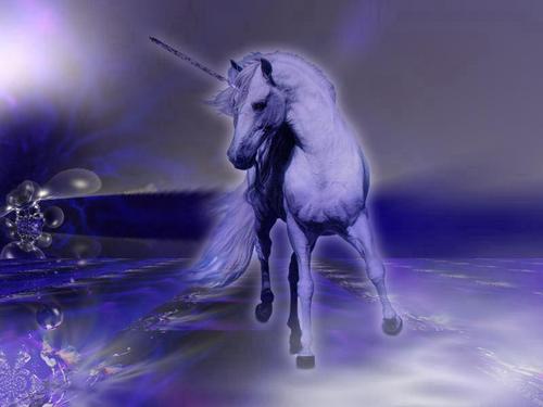 Fantasy unicorn