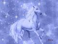 Fantasy unicorn - unicorns photo