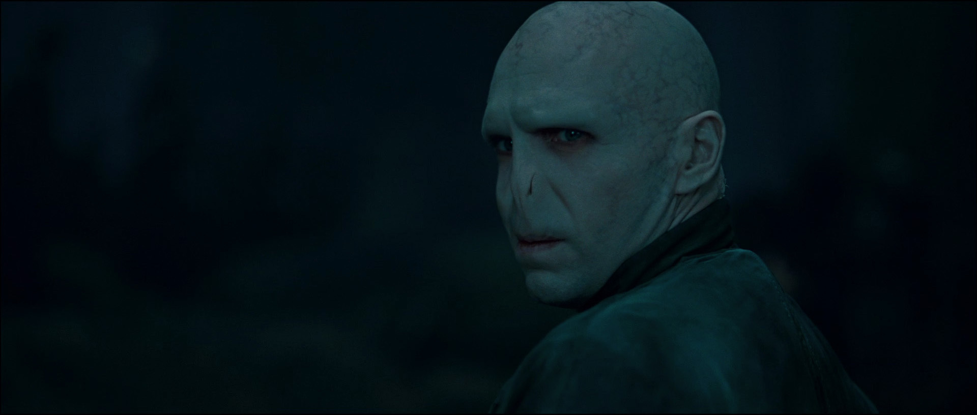 Voldemort Gay 11