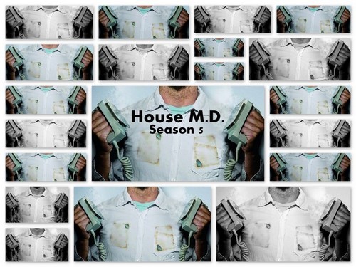  House: Season 5