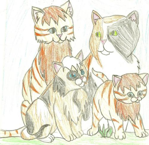 Icefire, Thornclaw, and future kits. (plz don't tell anglestar!!!)