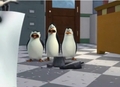 penguins-of-madagascar - O....M.....G!!!!!!!!!!!!!!!!!!!!!!!!!!!!!!!!!! screencap