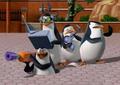 penguins-of-madagascar - O.O it couldnt be.....could it......??? screencap
