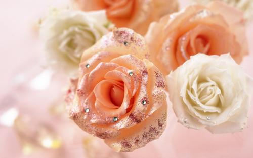 Romantic mga rosas