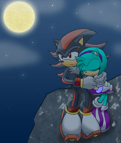  Sonic-chan and Shadow
