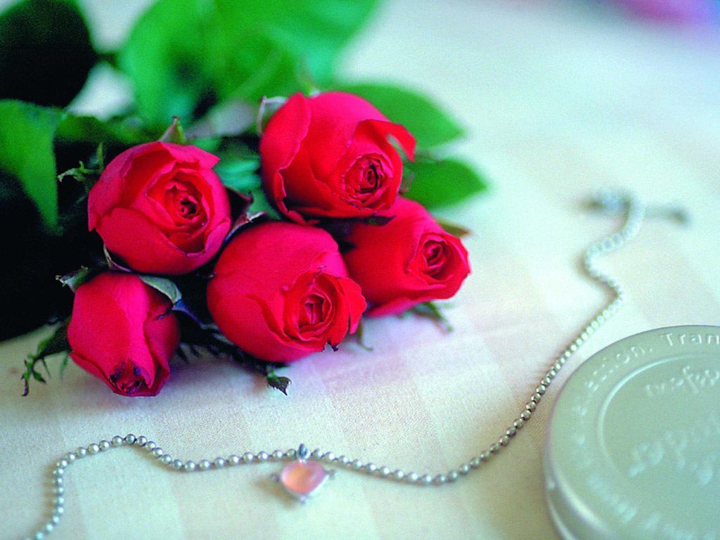 love roses images