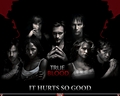 vampires - True Blood wallpaper
