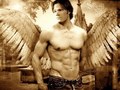 angel - supernatural photo