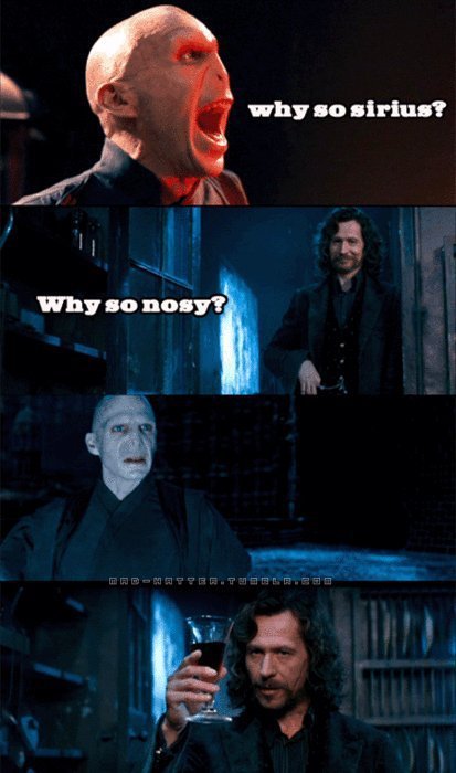 Harry Potter Memes | Page 17 | DLP