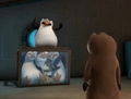 penguins-of-madagascar - i think Skipper is scared XD screencap