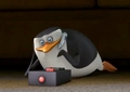 penguins-of-madagascar - i think that Skipper is having fun screencap