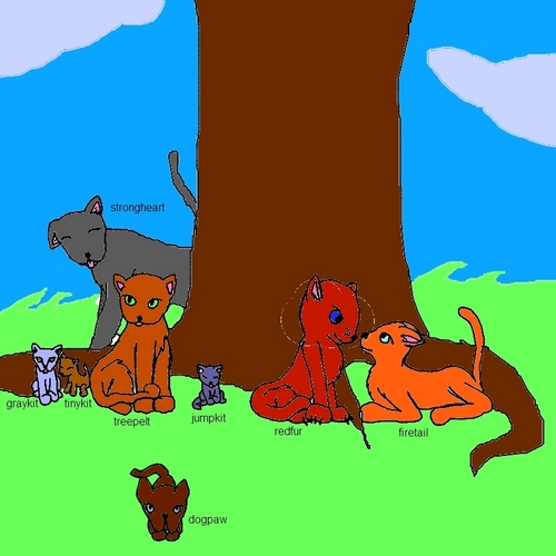  my thunderclan kit and queens