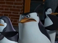 penguins-of-madagascar - never get him mad screencap