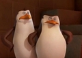 penguins-of-madagascar - they look funny :D screencap
