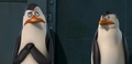 penguins-of-madagascar - you guys ok??? screencap