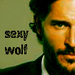 Alcide - sookie-and-alcide icon