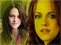twilight-series - Cast Twilight Saga wallpaper