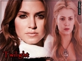 Cast Twilight Saga - twilight-series wallpaper