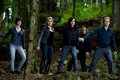 Cullens - the-cullens photo