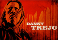 Danny Trejo as Machete - machete photo