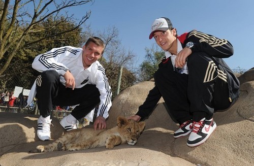 German National Football Team Visits Lion Park