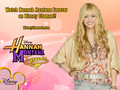 hannah-montana - Hannah Montana forever golden outfitt promotional photoshoot wallpapers by dj!!!!!! wallpaper
