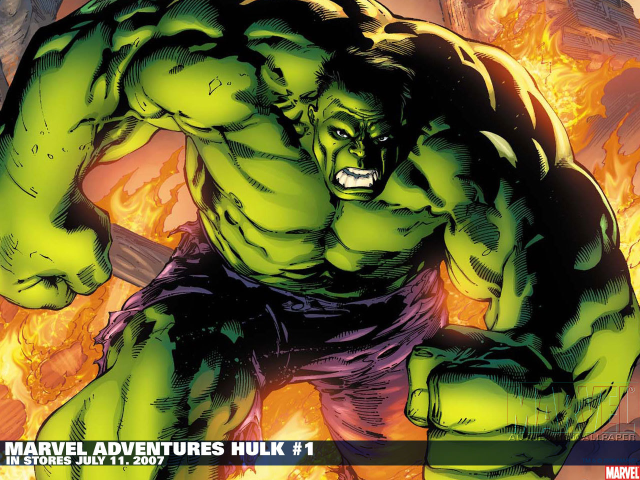 The Hulk - Photo Gallery