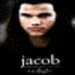 Jacob Black moving Icon - jacob-black icon