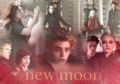 New Moon Fanarts Scenes - twilight-series photo
