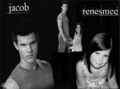 Renesmee & her Jacob - jacob-black photo