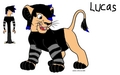 Request for The_Kill: Lucas as a lion - total-drama-island fan art