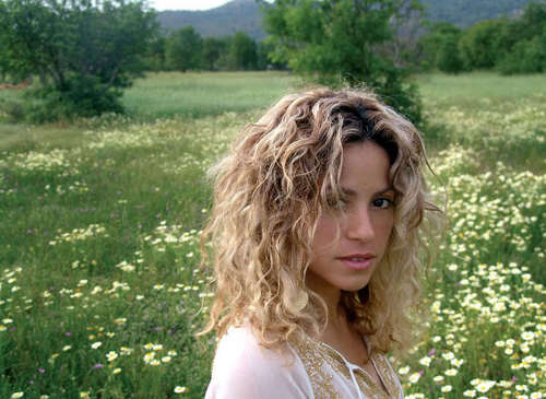  Shakira perfecto