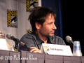 22/07/2010 - DD at Comic-Con Panel - david-duchovny photo